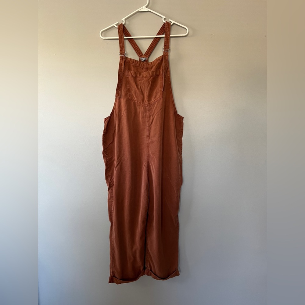 Aerie Burnt Orange Slouchy Overalls - Large